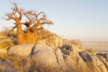 弗朗西斯敦港口查詢_francistown港口代碼_博茨瓦納弗朗西斯敦港口代碼